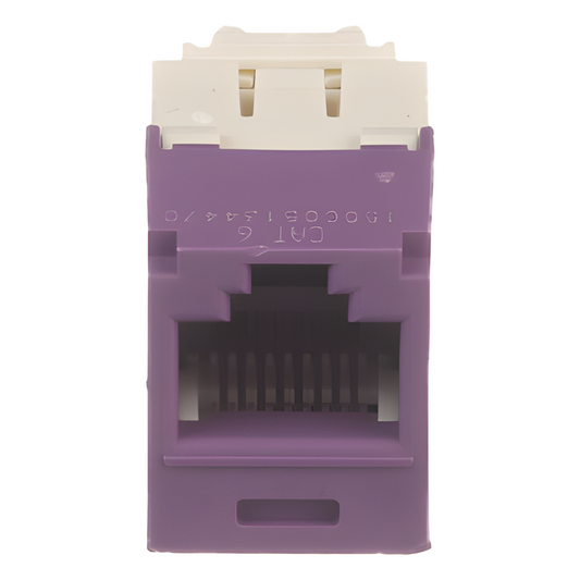 Conector Jack RJ45 Estilo TG, Mini-Com, Categoría 6, de 8 Posiciones y 8 Cables, Color Violeta