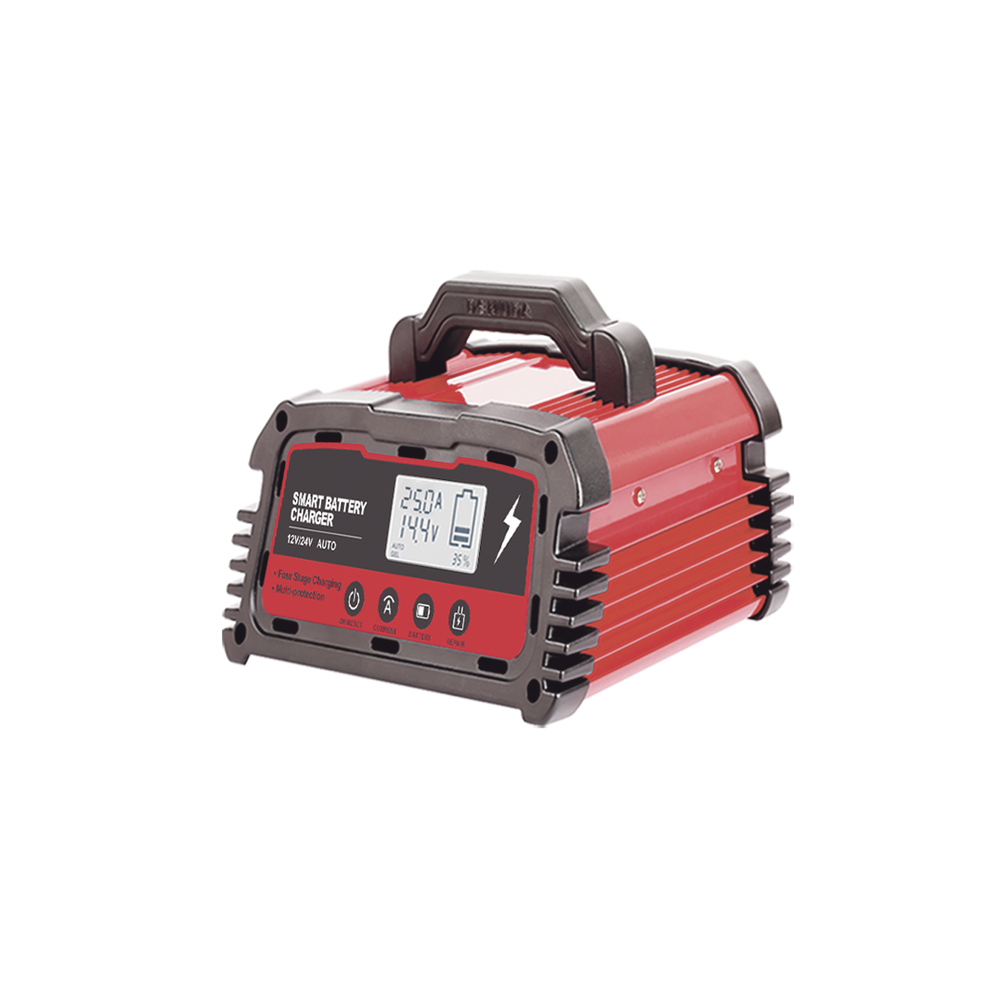Cargador de Baterías / 12 o 24 Vcc / hasta 250 Ah / 25 A / Display LCD