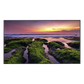 Pantalla Profesional LED de 65" para marketing digital / UHD 4K (3840x2160p) / Entradas de Video HDMI / uso 16/7 / Compatible VESA 400x300 / compatible con plataforma de gestion Samsung VXT