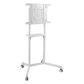 Soporte Móvil Rotativo para Pantalla 37"-70" / Rotación 0° a 90° / VESA 200x200 a 600x400 / Carga 70 kg / Ruedas con Bloqueo / Color Blanco
