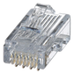 Plug RJ45 Cat5e, Para Cable UTP de Calibres 24-26 AWG, Chapado en Oro de 50 Micras, Paquete de 100 Piezas
