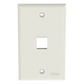 Placa de Pared Vertical, Salida Para 1 Puerto Keystone, Color Blanco Mate