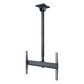 Soporte de Techo Universal Paramount PCM150 para Pantallas de 43" a 90"+ / Capacidad de Carga 150 lb (68 kg) / Ajuste Vertical 39.59" a 63.21" / Rotación 360° / Inclinación +20°/-5° / Montaje en Techos Planos