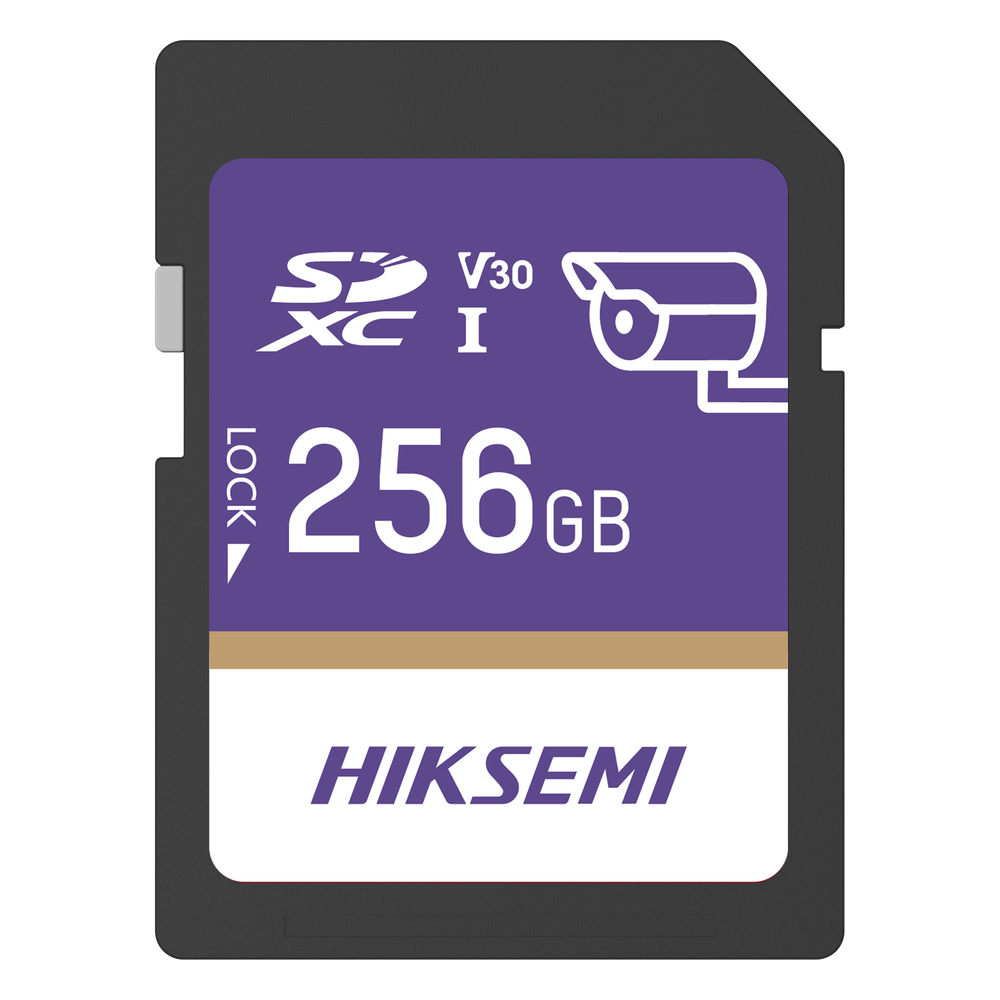 Tarjeta SD GuardPro P10 / 256 GB / 100 MB/s Lectura / 90 MB/s Escritura / Clase 10 U3 V30 / 3D TLC NAND / Especializada Para Videovigilancia 24/7