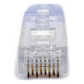 Plug RJ45 Cat6 de 5 Piezas, Para Cable UTP de Calibre 23-24 AWG, Chapado en Oro de 50 Micras, Paquete de 100 Piezas