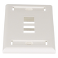 Placa de Pared Vertical, Salida Para 2 Puertos Keystone, Con Espacios Para Etiquetas, Color Blanco Mate