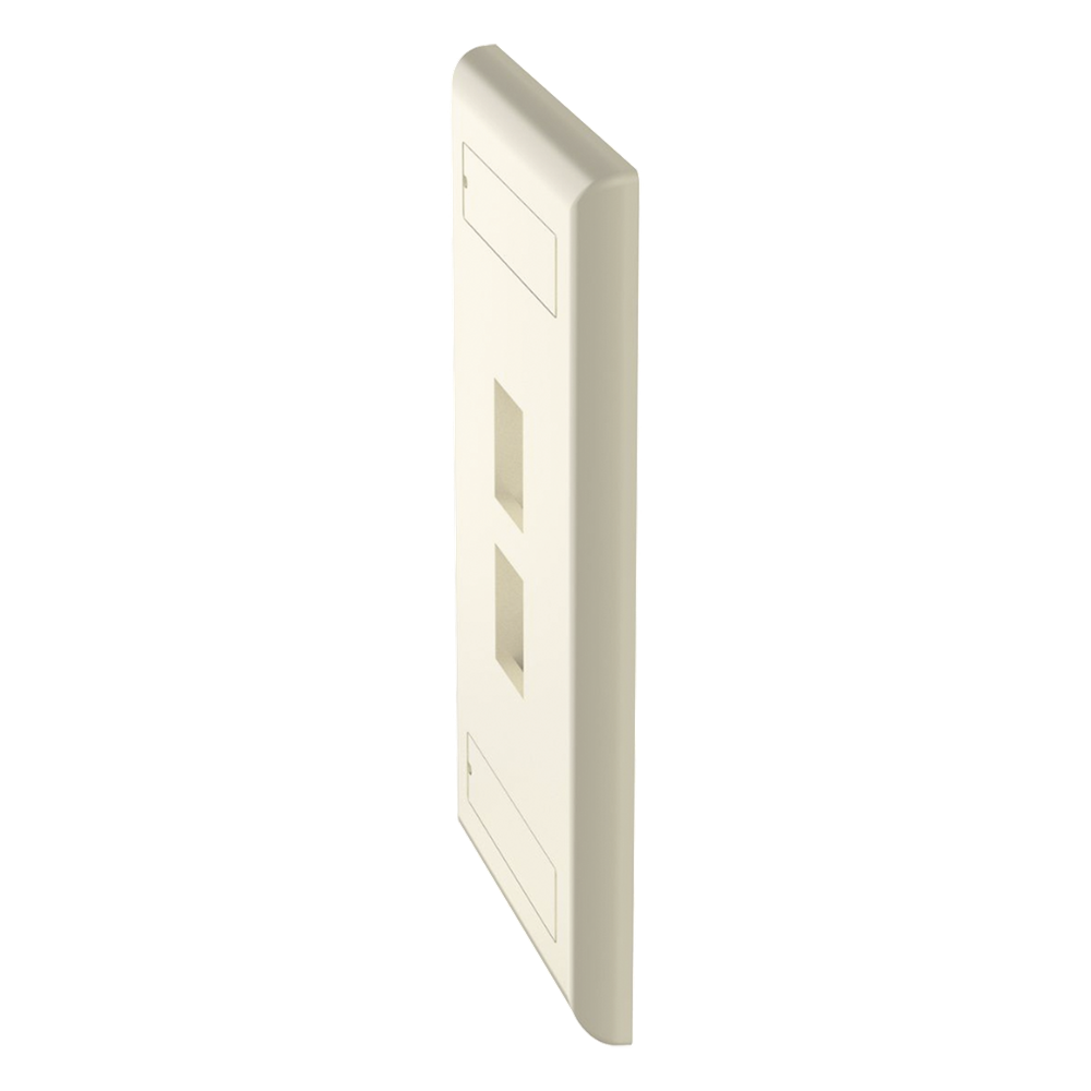 Placa de Pared Vertical, Salida Para 2 Puertos Keystone, Con Espacios Para Etiquetas, Color Marfil