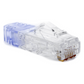 Plug RJ45 Cat6 de 5 Piezas, Para Cable UTP de Calibre 23-24 AWG, Chapado en Oro de 50 Micras, Paquete de 100 Piezas