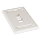Placa de Pared Vertical, Salida Para 2 Puertos Keystone, Con Espacios Para Etiquetas, Color Blanco Mate