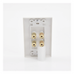Placa de Pared | Postes de Unión Tipo Banana | Conexión para 2 Altavoces | Fácil Instalación | Conectores Chapados en Oro