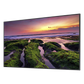 Pantalla Profesional LED de 65" para marketing digital / UHD 4K (3840x2160p) / Entradas de Video HDMI / uso 16/7 / Compatible VESA 400x300 / compatible con plataforma de gestion Samsung VXT