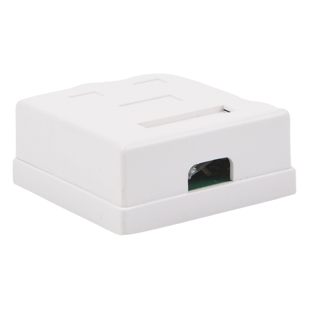 Caja de Pared con Jack UTP Cat5e y Jack RJ11 Telefónico
