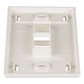 Placa de Pared Vertical, Salida Para 2 Puertos Keystone, Con Espacios Para Etiquetas, Color Blanco Mate