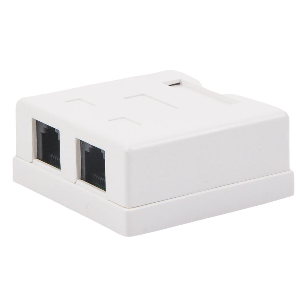 Caja de Pared con Jack UTP Cat5e y Jack RJ11 Telefónico